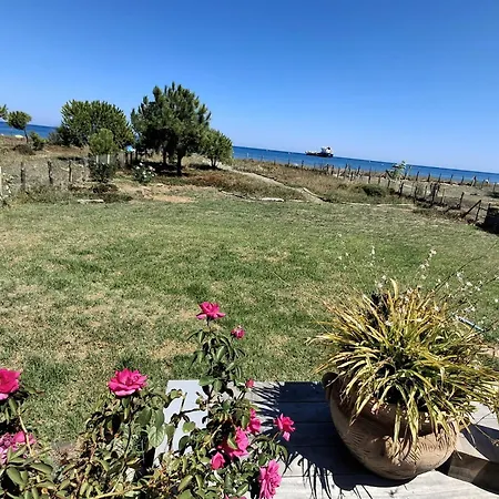 Bord De Avec Piscine * Lucciana (Corsica)