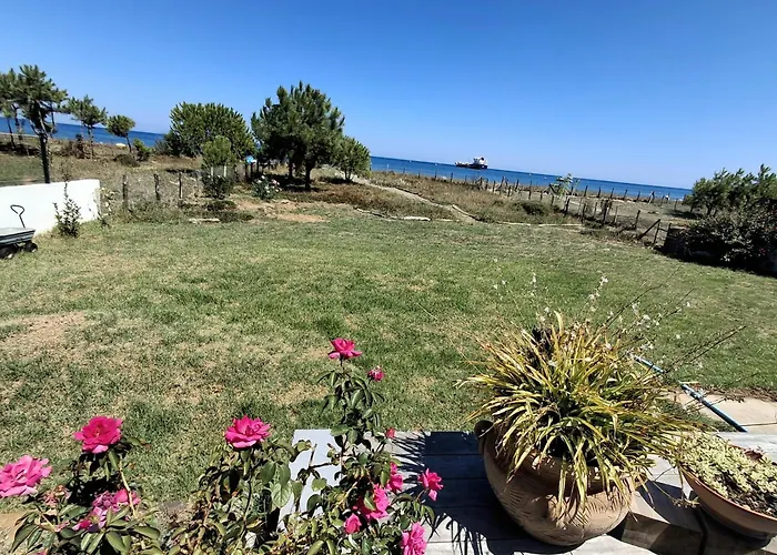 Bord De Avec Piscine * Lucciana (Corsica)