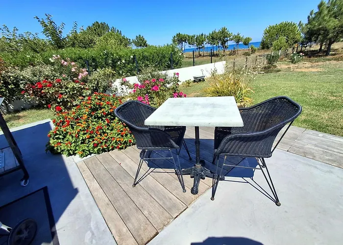 Bord De Avec Piscine * Lucciana (Corsica)